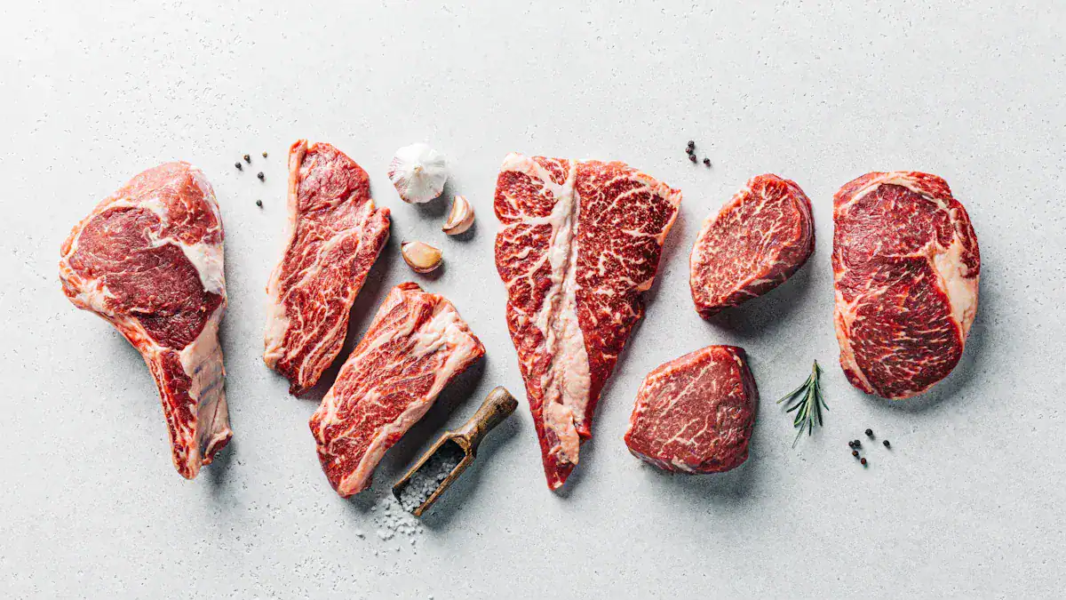 Carnivore Diet Results