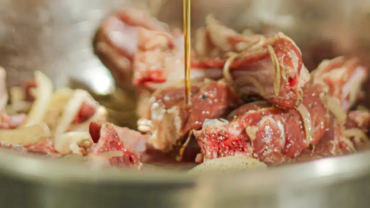 What Is the Carnivore Diet