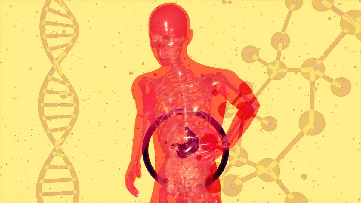 Interpreting Elevated Liver Enzymes