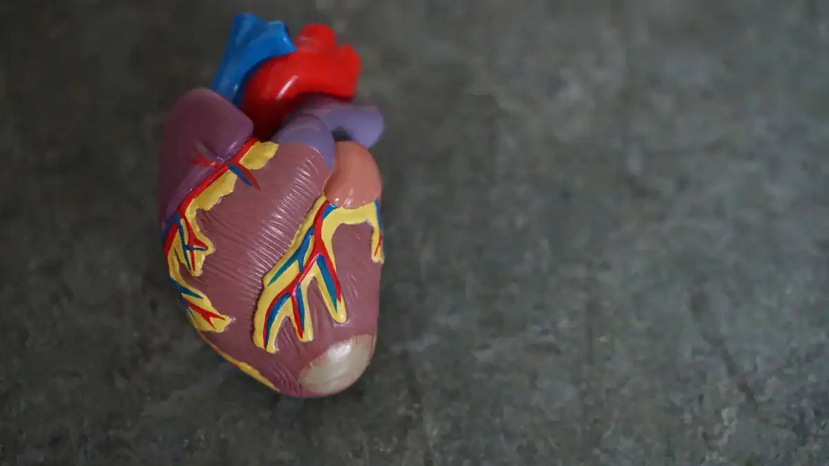 Cardiovascular Effects
