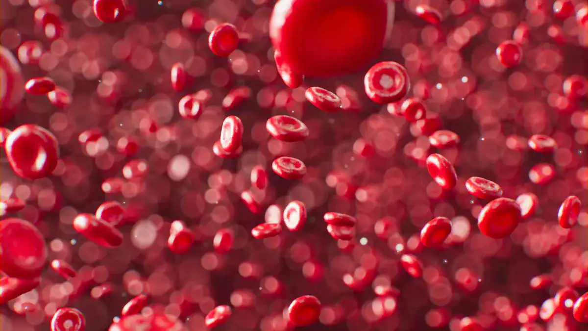Low RBC Count: Causes, Dangers, and Treatment Options