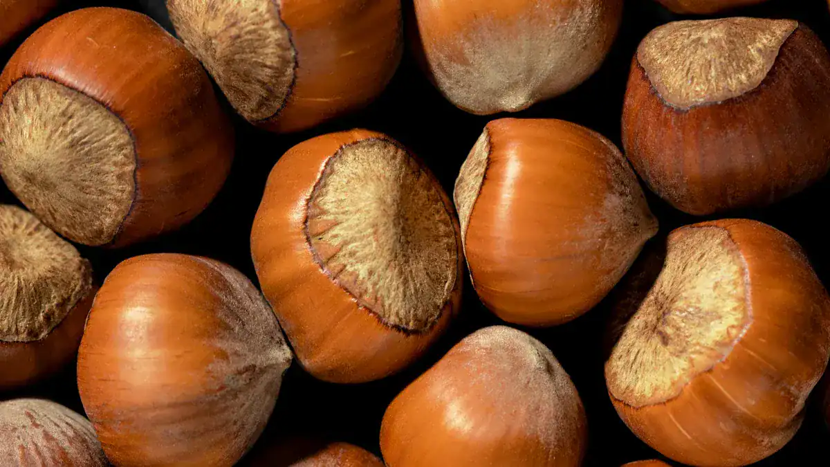 Hazelnuts Nutrition Benefits: Heart Health, Vitamins, and Uses