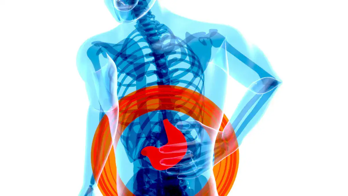 Differentiating Kidney Pain From Other Pains