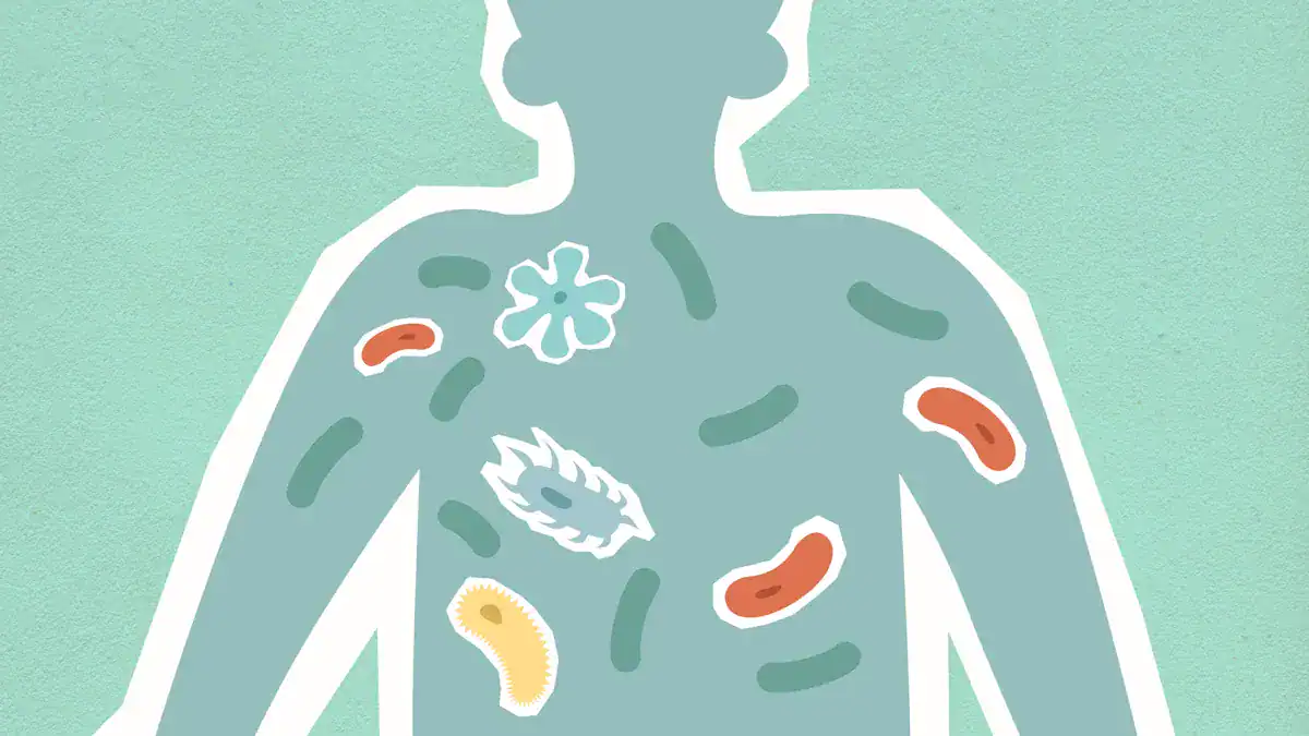 Common Causes of Stomach Pain