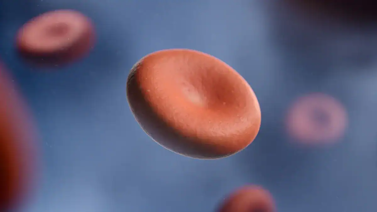 Causes Of High MPV Blood: Urgent Health Implications