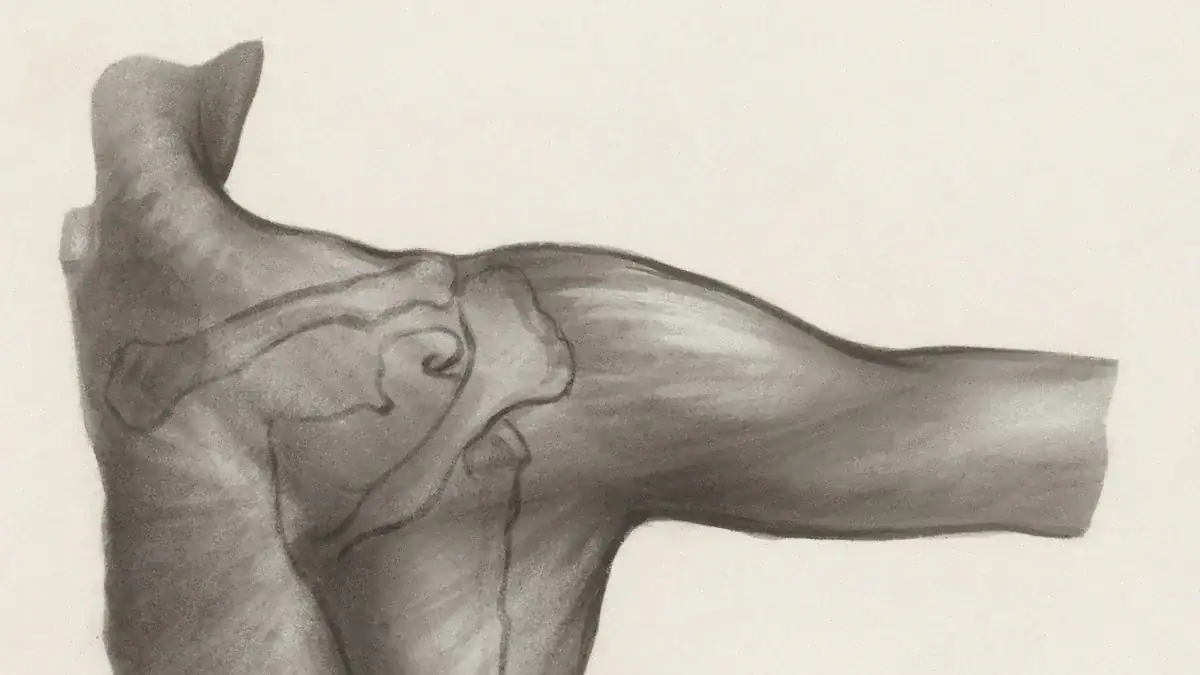Understanding Bone Spurs in the Shoulder
