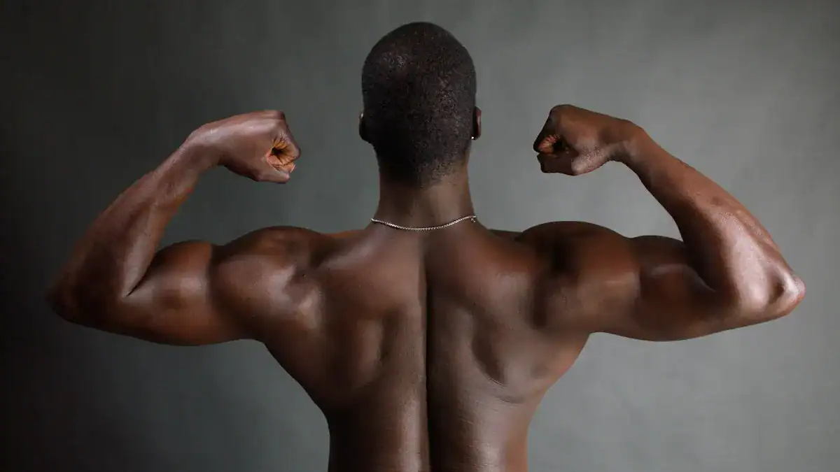 The Latissimus Dorsi (Lats): Power and Shape