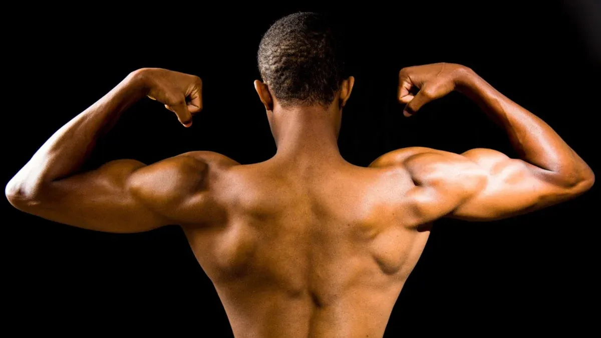 Effective Chest Training Principles