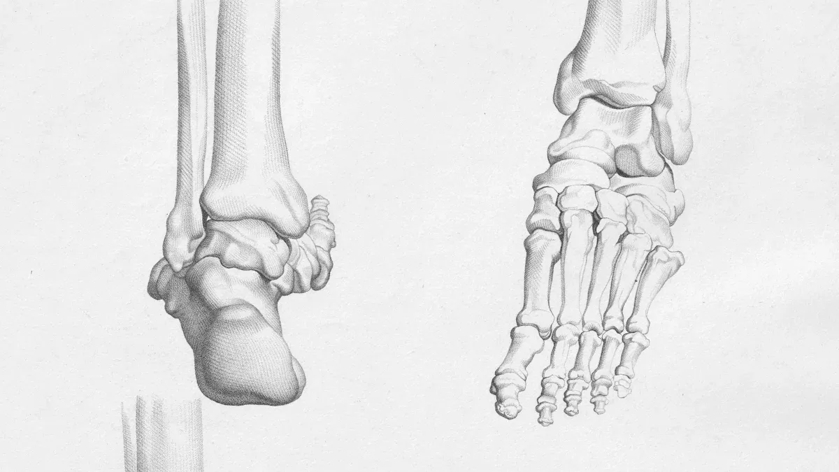 Why Does My Right Foot Hurt: Causes & Solutions