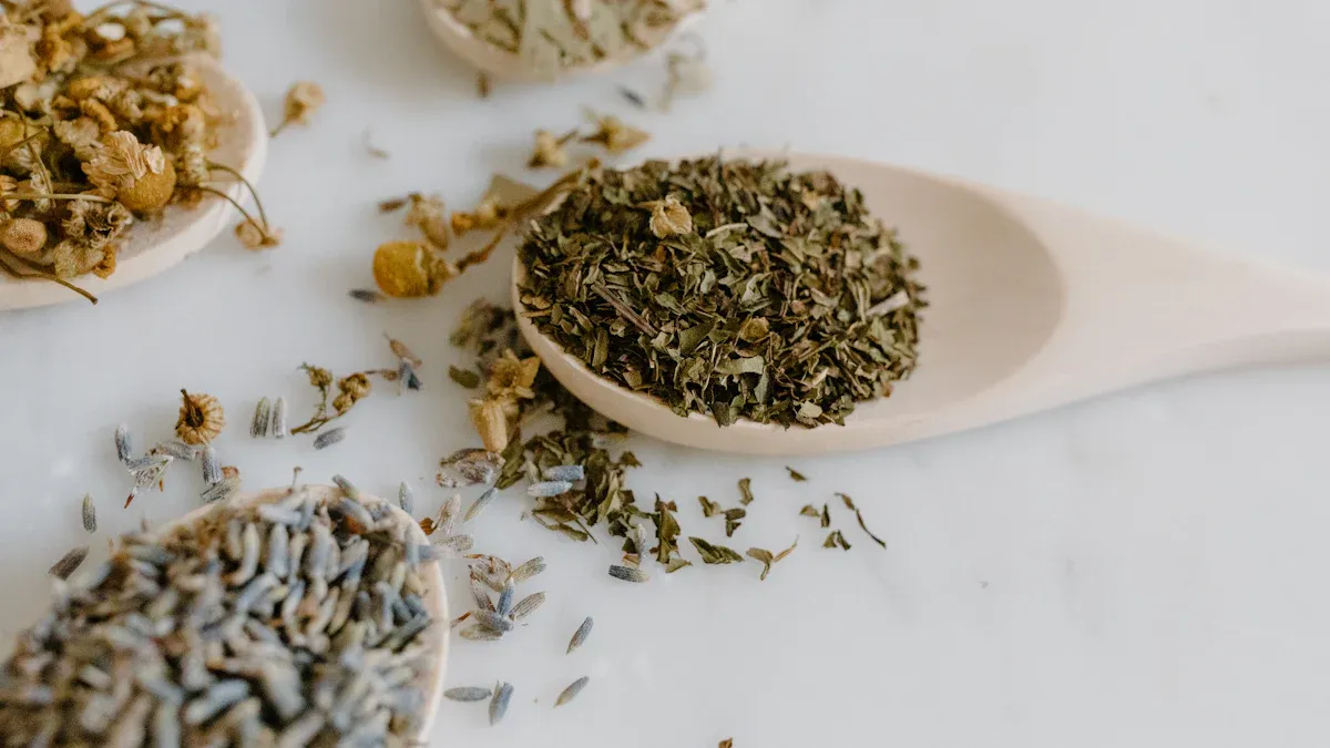 Supportive Natural Approaches for Appendicitis