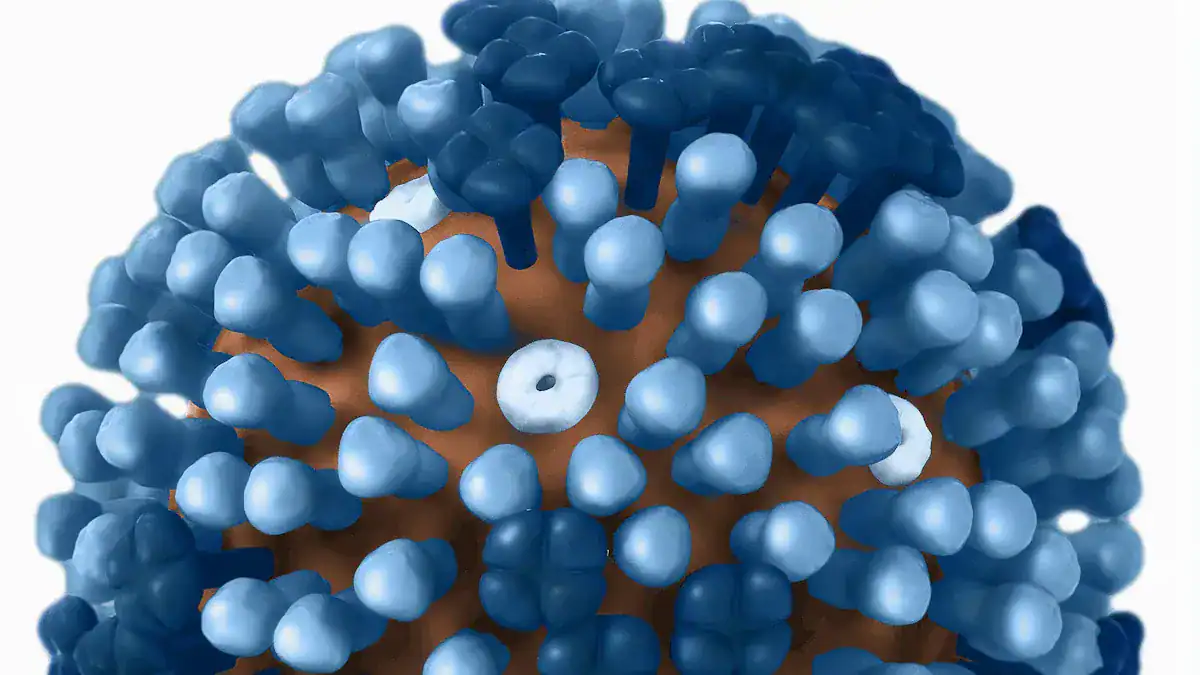 Understanding Norovirus Infection