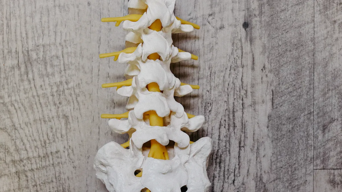What Causes Waist Pain? Causes, Diagnosis, & Relief