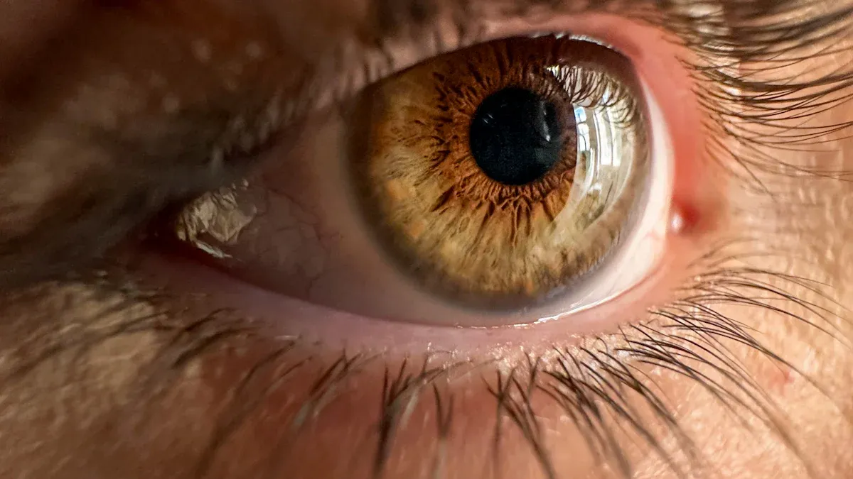 Eye Problems Associated with Hypothyroidism: The Crucial Link