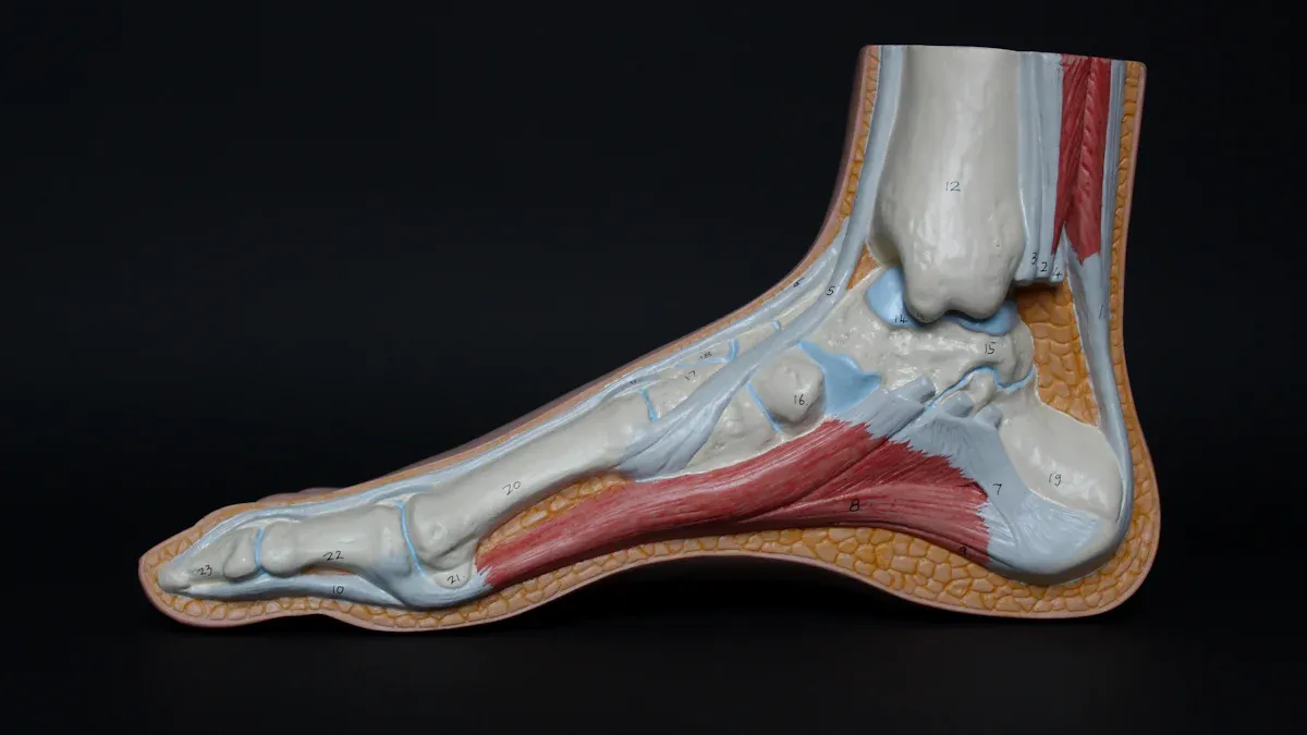Understanding Foot Numbness
