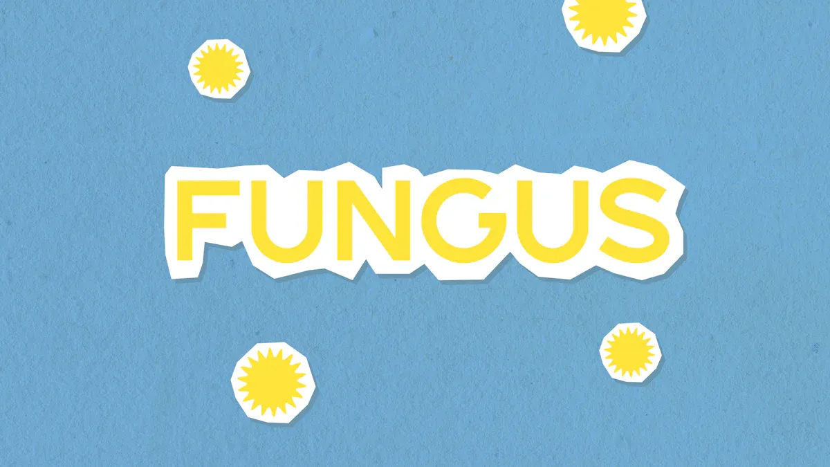 White Toenail Fungus: Types and Identification